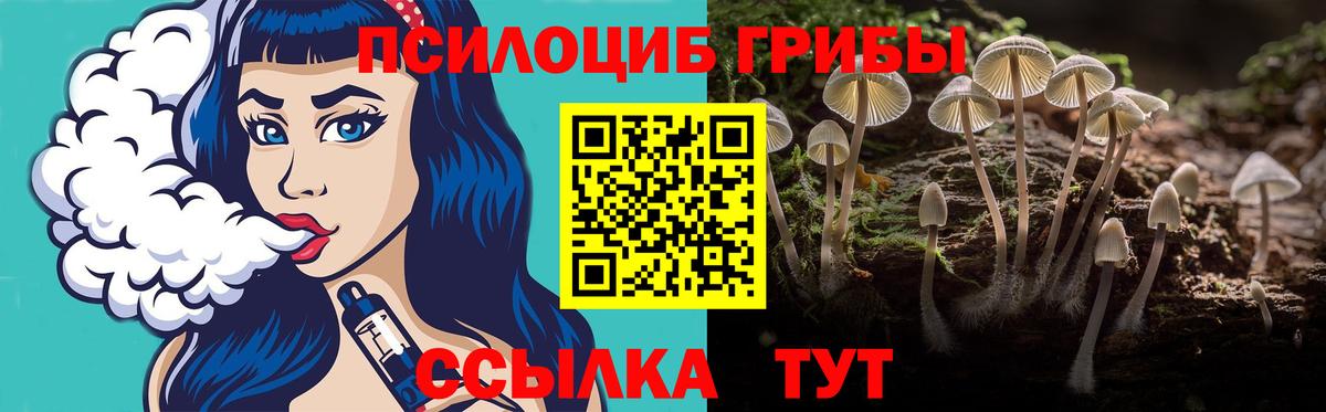 Галлюциногенные грибы мицелий Краснодар